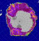 SSM/I sea ice concentration