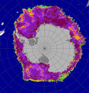 SSM/I sea ice concentration SSM/I sea ice concentration