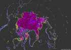 Sea ice concentration